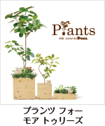 オリジナル商品 - Prants for more Trees