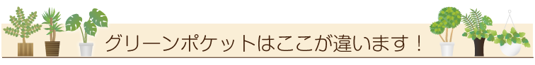 グリーンポケットはここが違います！