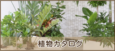 植物カタログ