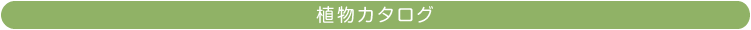 植物カタログ