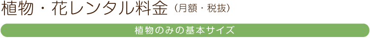 植物・花レンタル料金