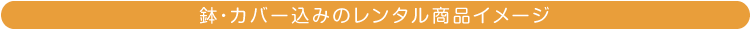 鉢・カバー込みのレンタル商品料金イメージ