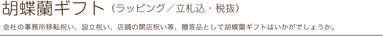 胡蝶蘭ギフト